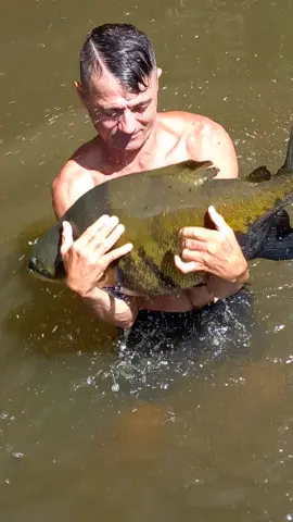 #valdemir   encantador de peixes 