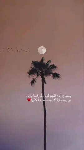 يارب #🎧🤍 