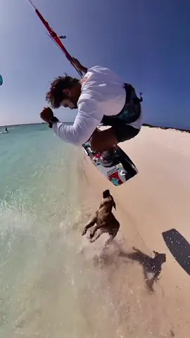 Ultimate Dog Walker 🐶🤣 #kitesurfing #kiteboarding #kitesurf #kiteboard #kitesurfer #kiteboarder #travel #pet #dog #dogwalk #dogwalker #dogwalking #petlover #petlovers #mansbestfriend #run #beachrun #beach #beachfun #play #fun #goodvibes @Reno Romeu 