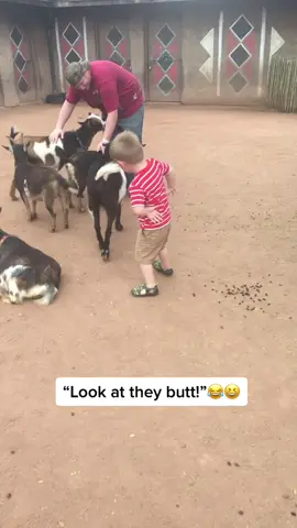 #lookattheybut 