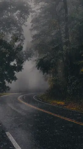 everyone loves a good thunderstorm #peace #thunderstorm #rain #beautiful #peaceandnature🌿 #foryoupage #fyp #forest #vibes #peaceful #relaxation #fypシ #aestheticvideos 