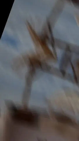 😎❤️ #melodymarcantes #paraense #belémdopará #antes #fy #fypシ #fyyyyyyyyyyyyyyyy #vaiprofyinferno👺🔪 #antigas #vaiprofycaramba #naoflopa #foryou 