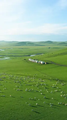 A breathtaking encounter with nature on the open plains of Inner Mongolia. 🌿