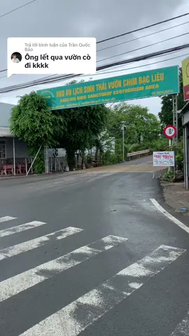 Trả lời @Trần Quốc Bảo  Vườn cò của bạn đây 😁#fyp #xuhuongtiktok #94baclieu #phuotbui #Vlog #dulich 