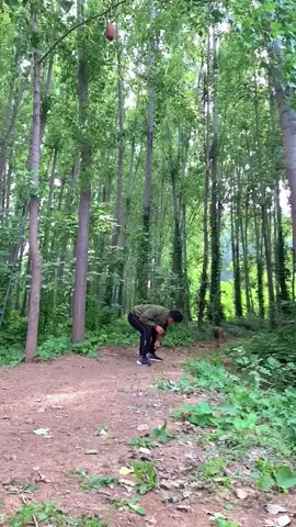 #dog #dogsoftiktok #foryou #animal #acrobatics