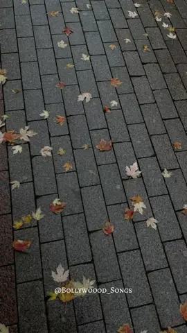 Kaun tujhe #liriklagu #kauntujhe #bollywoodsong #bollywoood_songs #music 