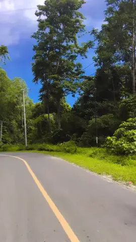 #PemandanganAlam #HealingNaikMotor #VideoPerjalanan #JalanMasihPanjang #tiktokforyoustage #sultrahitz #StoryPemandangan #JalanJalanTraveling #beautifulindonesia #KontenJalanjalan #VlogJalanjalan #VideoVibesEstetik #bugistiktok #fyp 