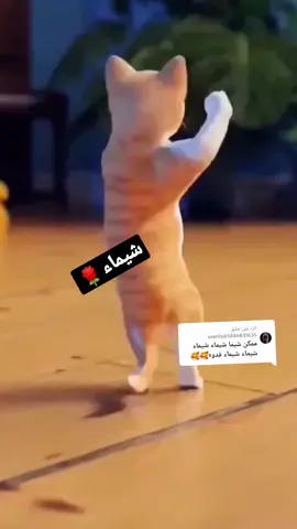 الرد على @user2665846831635 حسب الطلب شيماء☺️🌹