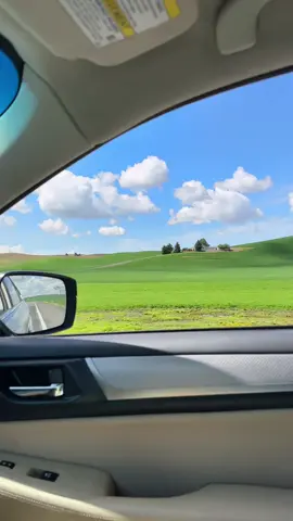 Going to college where the Windows desktop was taken>>>  #2000sthrowback #wsu 