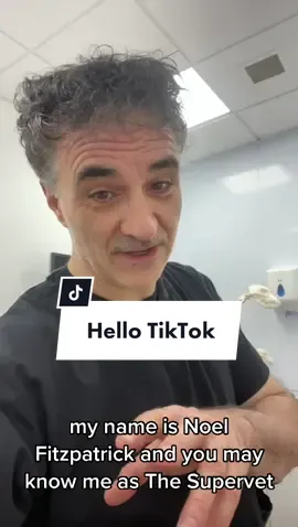 Hello TikTok 👋 Excited to be here and to build a supportive community of compassion for both animals and each other x #supervet #authortok #animals #vetsoftiktok #animalsarefamily #loveanimals 