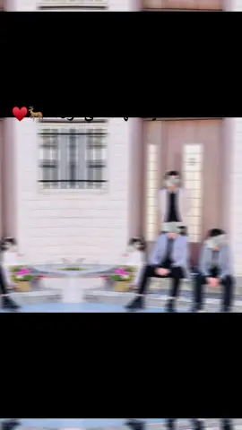 #اكسبلورexplore #♥️ #ليبيا #✨ #🦌✨ #هي #طرابلس #اكسبلوررررر 