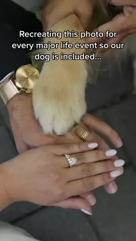 Cant wait to add baby Frankie to the mix! #fyp #foryoupage #dogsoftiktok 