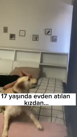 evden atılmam da şöyle ilk ayrı eve çıktığım da 17 yaşındaydım ve birkaç gün kirayı geciktirmiştim neyse ev sahibinin arayıp evden atarım tarzı konuşması rahatsız etti, hoşuma gitmedi tabii ayrı gıcık oldum  derken sinir olmam bana yaradı herhalde ahajsksksm. Neyse şaka bir yana her şey değişebilir tamamen kontrol sizin yaptıklarınıza bağlı😍 #fyp #reels #kesfet  