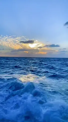 وَمَا أَنَّ لِلْفُؤَادِ أَنْ يَسْتَرِيحَ . .  🖤🖤