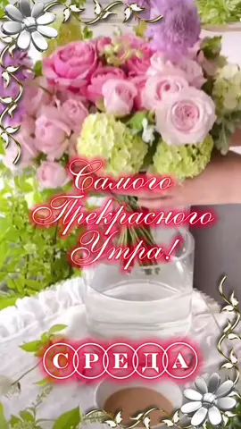 #доброеутро #среда 
