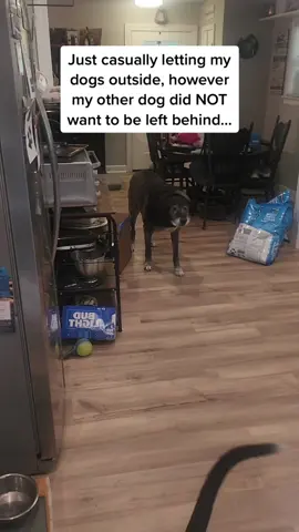 He had his OWN SOUND EFFECTS 🤣🤣🤣 Follow @Pubity for more #Pubity (@ViralHog)