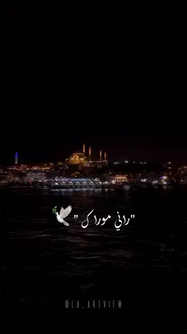 Hasni rani mourak 🌹🎶🕊️  #شاب_حسني #chebhasni❤️🤍🇲🇦🇩🇿🇹🇳❤️🤍 #fyp #fypシ #chebhasni #chebhasni❤️🤍🇲🇦🇩🇿❤️🤍 #chebhasni💔💔 