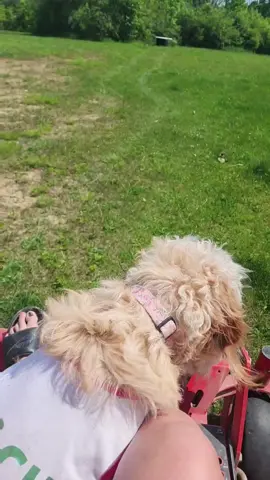 #waffles 