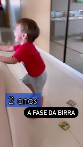 A famosa fase dos 2 anos! Birra e mais birra! 🤣 #maededois #maternidade #terrible2 #2anos 