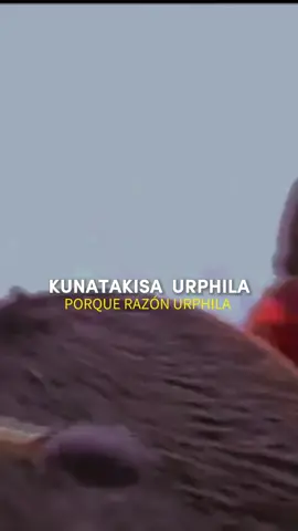 Awatiñas - Urphila🎶❤️🇧🇴#parati #awatiñas #urphila #🇧🇴 #musicaandinaboliviana #folcloreboliviano #teambolivia🇧🇴 #Bolivia #escucha #musica #contenido #musicaboliviana #Parati#fypシ 