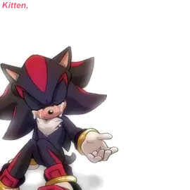 #sad #discord #shadow #sonic #meme #kitten 