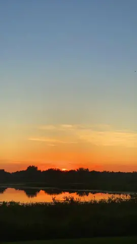Sunrise 03 #background #backgroundvideo #wallpaper #freevideo #wallpapervideo #livebackground #freewallpaper #sunrise 
