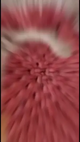 Macrame bag - tas macrame #macramebag #macrame #tasmacrame #handmade #tiktok #tas #macramebag♥️♥️ #CapCut