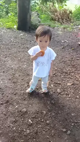 #anaklucugemesin #videotiktokanak #anakbayi 