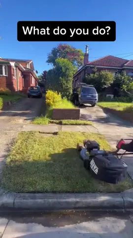 What would you do? #lawncare #echotoolsaustralia #echotool #lawnmowing #rasenmäher #landscaping #Home 