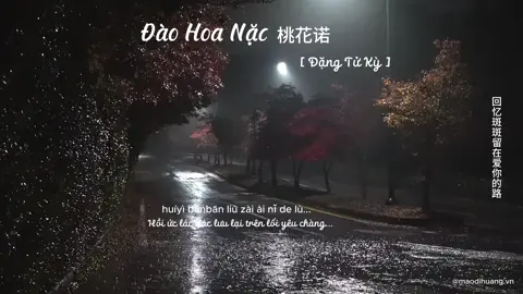 “Tình yêu là thứ khiến người ta hễ đã yêu là mù quáng Ràng buộc một đời này lay động đến cả tơ lòng” #viral #xuhuong #fyp #fypシ #tiengtrung #tuhoctiengtrung #sadstory #sad #daohoanac 