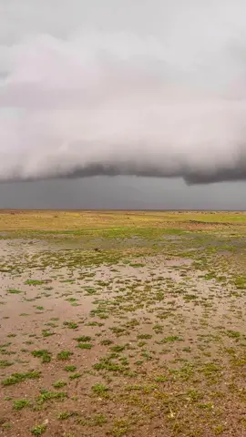 #اكسبلور #عطايا_الله #وضح #قصات_شعر #امطار_الخير #حايل 