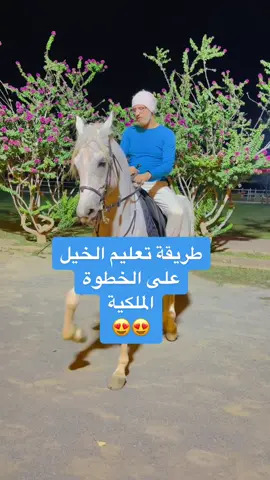 #تدريب#ترويض#حصان#خطوة#ملكية#سامي#الراجحي