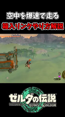 最強移動技 箱入リンク #ゼルダの伝説ティアーズオブザキングダム #ティアーズオブザキングダム #ティアキン #バグ #空中