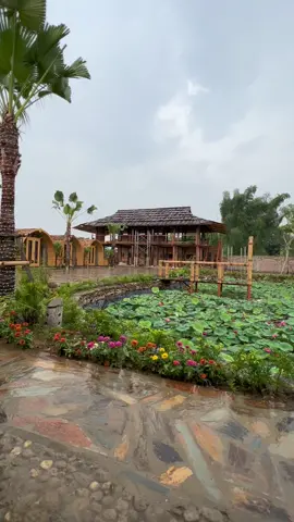 #goldenField Nghĩa Lộ, Yên Bái #dulichvietnam #cảnhđẹpviệtnam #chillmộtchút 