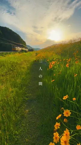 🌼🌼🌼 #日本の風景 #風景  #日本 #japan #nature  #田舎暮らし 