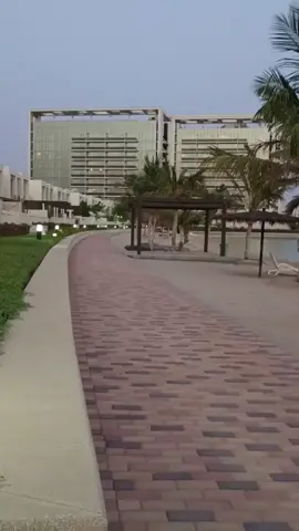 静雅的海边#迪拜生活 