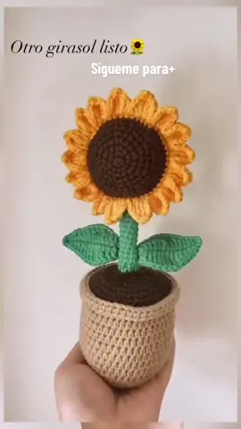 #muñecostejidos #crochettutorial #TikTokAmigurumi #amigurumispersonalizados #crochetprincipiantes #ganchilloterapia #tipscrocheteros #terapiadeltejido 