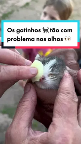 Os gatinhos 🐈‍⬛ tão com problema nos olhos 👀 