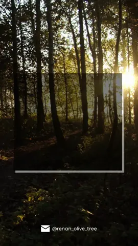 #louvor #louvores #abapai #cristão #bíblia #oraçao #evangelico #avivamento #palavradedeus