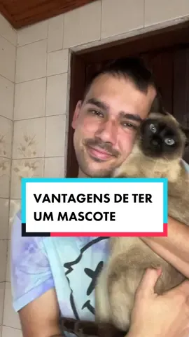 Vantagens de ter um animal de estimação 🐈😂 #comedia #memes #vantagens #mascote 