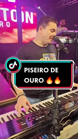 Sucesso do ALEMÃO DO FORRÓ,   a música 