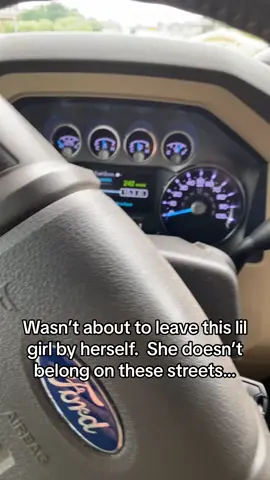 #savewildlife #savethekitty #roadside #roadsideassistance #wholesome #littlethings #protect #lovejoy 