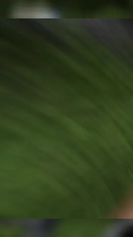 #painball #latinapower💪🏻 #venezuela🇻🇪 