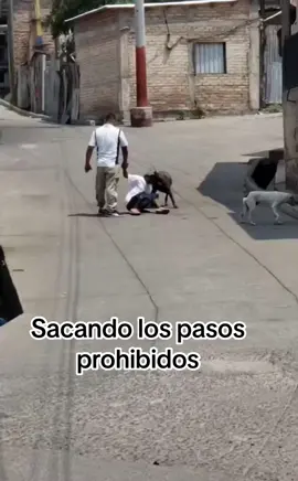 #sacando los pasos prohibidos #humor #😁 #estadosparawhatsapp #chistoso 