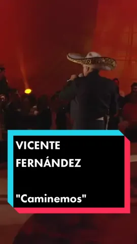#VicenteFernandez #caminemos #bolero #ranchero #mexico #regionalmexicano #chentefernandez #parati #fyp #foryou #foryoupage❤️❤️ 
