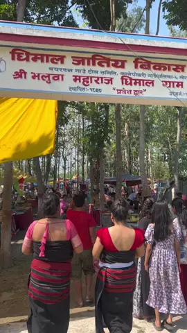 Dhimal jatree puja❤️#dhimalpuja #dhimalmela #dhimalsong @☪️🦄 @indiradhimal336 @sushmita dhimal @Anjela Rajtharu @{S💖💖💖💖💖💖R} @Lakh Dhimal @madan dhimal @sangita sampang rai (tamang) @Bina dhimal @NIRMAL DHIMAL 💝🌹💞🇳🇵🇳🇵 @💞S+💞सुMAन धिMAल(काशेर)दमक-९ @Bidhya, Nand, DmL 