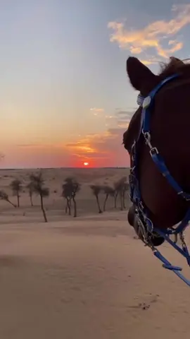 #انا_السماء_والي_يبي_يشوفني_فوق👑 