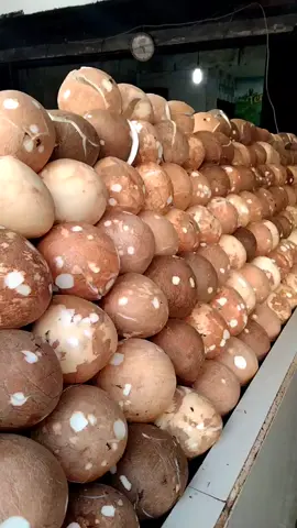 hayukk yg mau order kelapa parut atau kelapa santan nya ready selalu yaa🙏😇 #foryoupage #kelapa #pasarbarubekasitimur #caricuanonline 