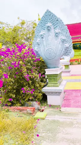 Ae vĩnh tân chắc ko xa lạ chùa này he #xuhuongtiktok #soctrang83 #fyp 