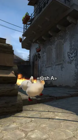 rest of mates still in spawn 🤧 #csgo #gaming #fyp 